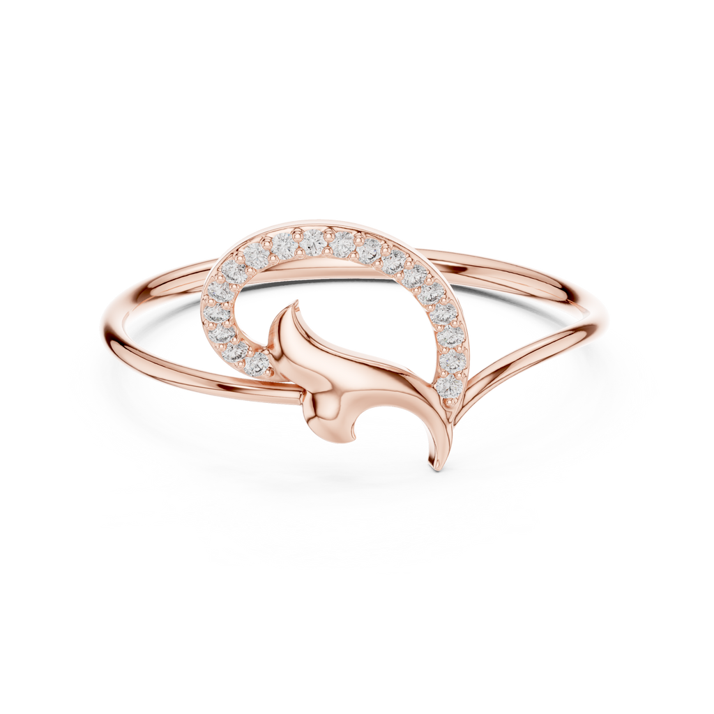 The Fancy Ring