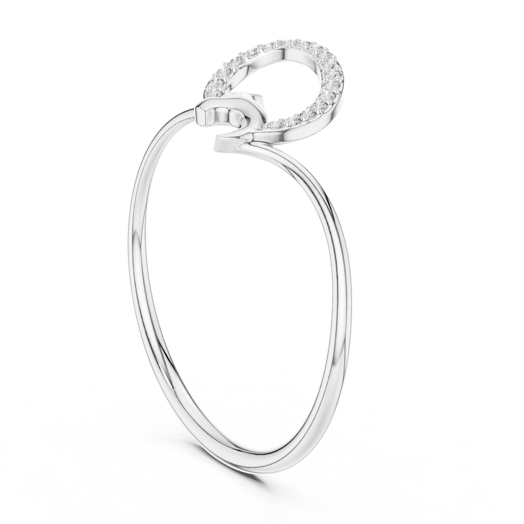 The Fancy Ring