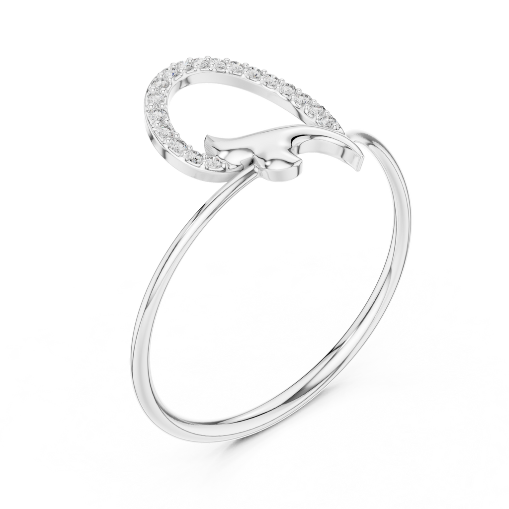 The Fancy Ring