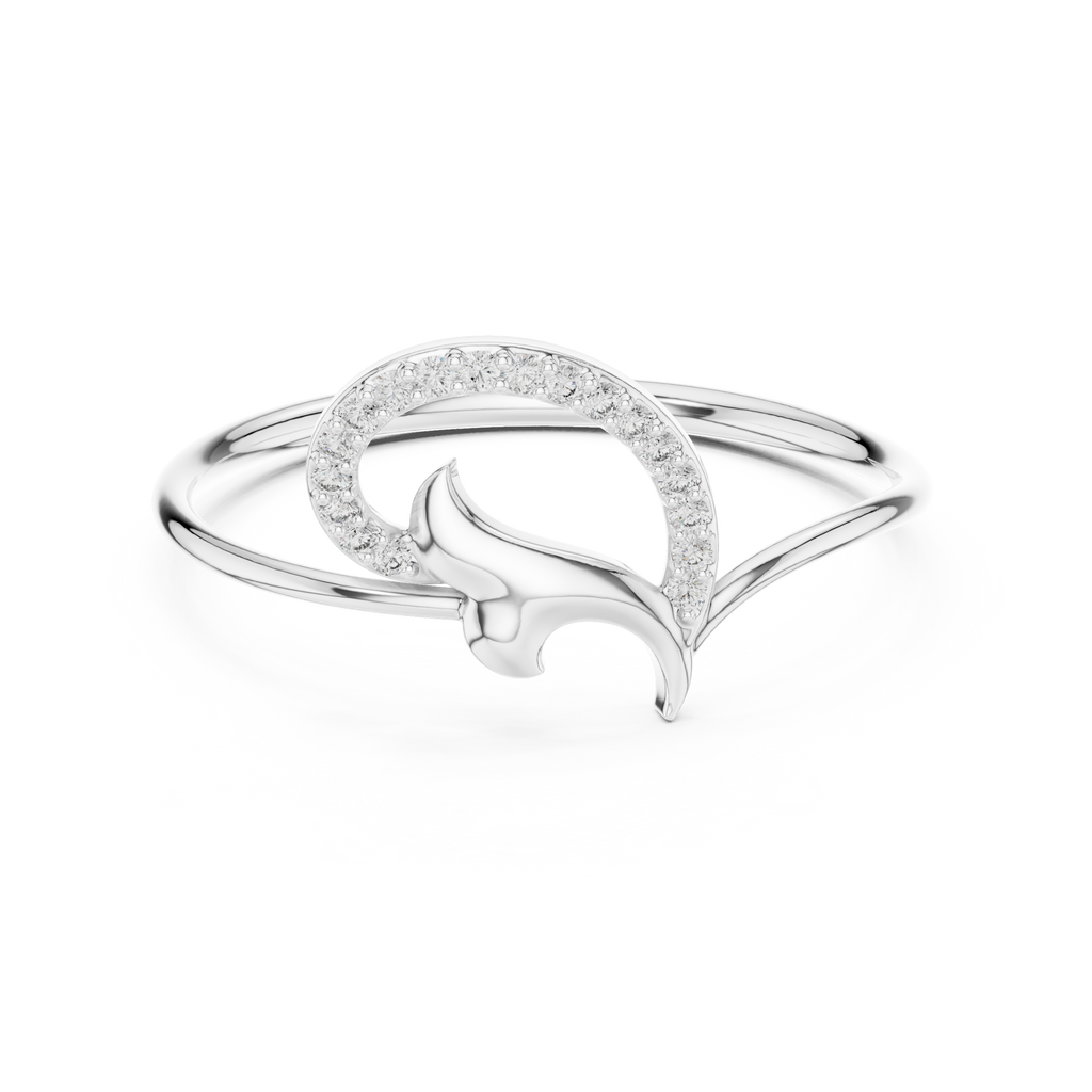 The Fancy Ring