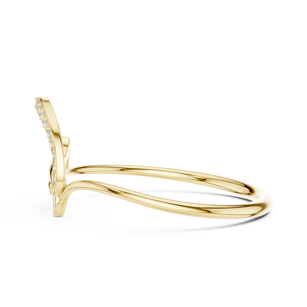 The Fancy Ring