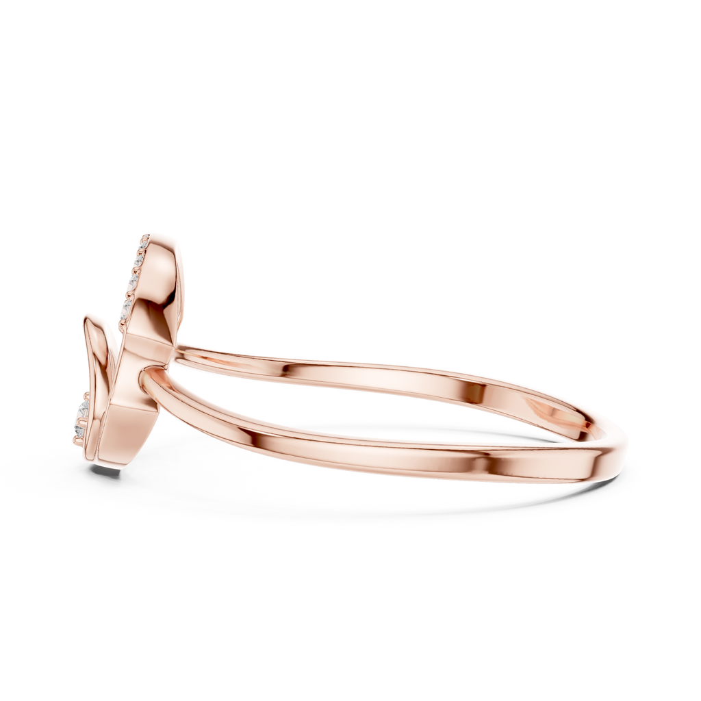 The Fancy Ring