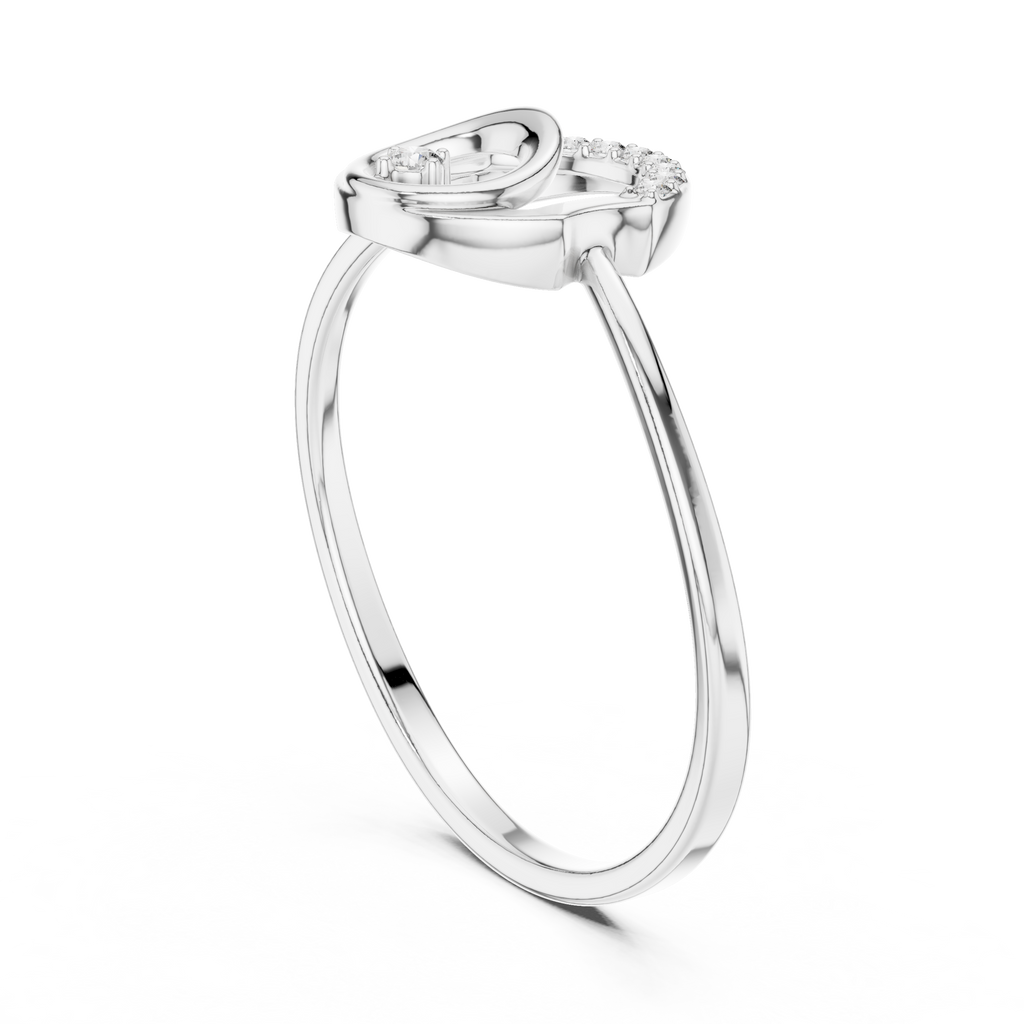 The Fancy Ring