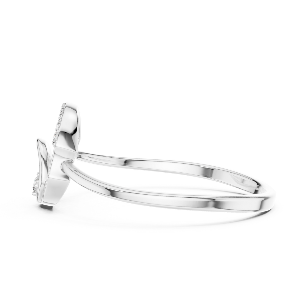 The Fancy Ring