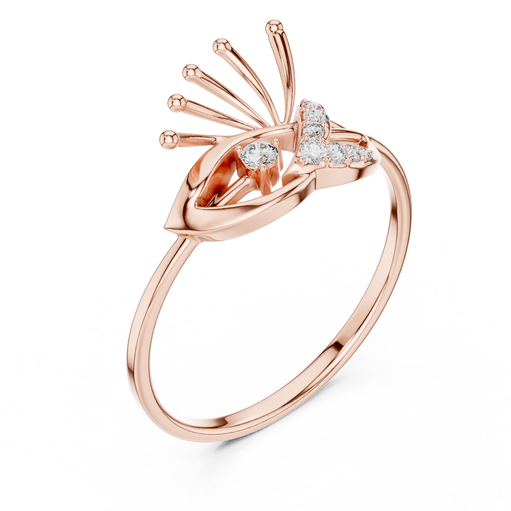 The Fancy Ring