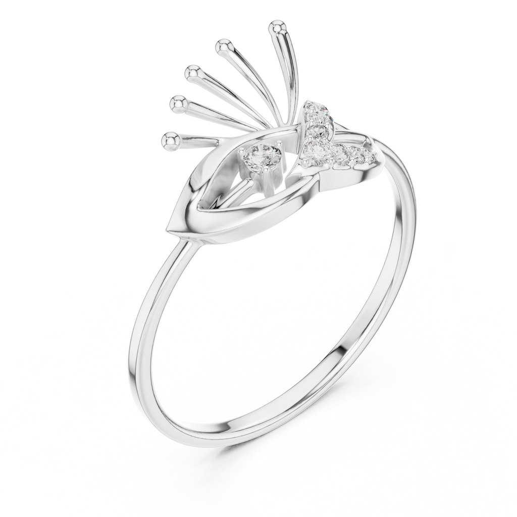 The Fancy Ring