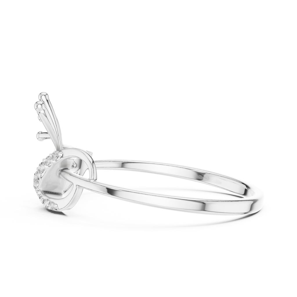 The Fancy Ring