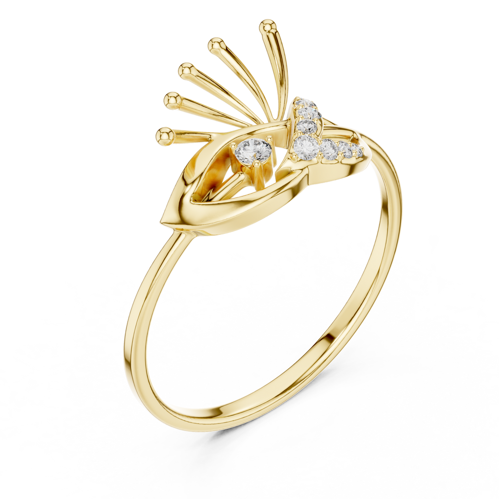 The Fancy Ring