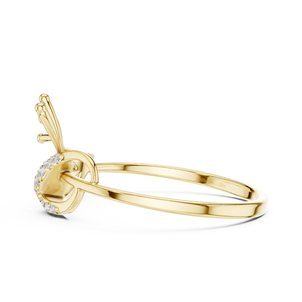 The Fancy Ring