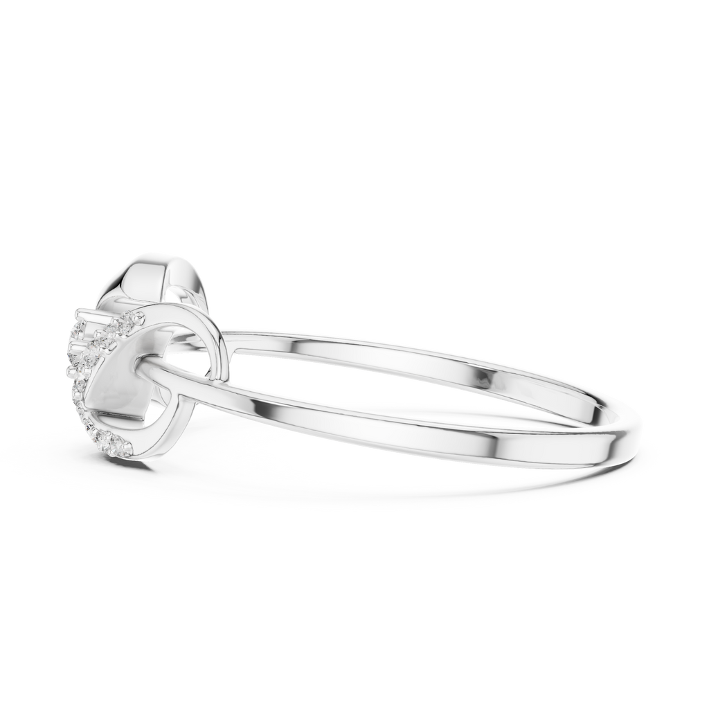 The Fancy Ring
