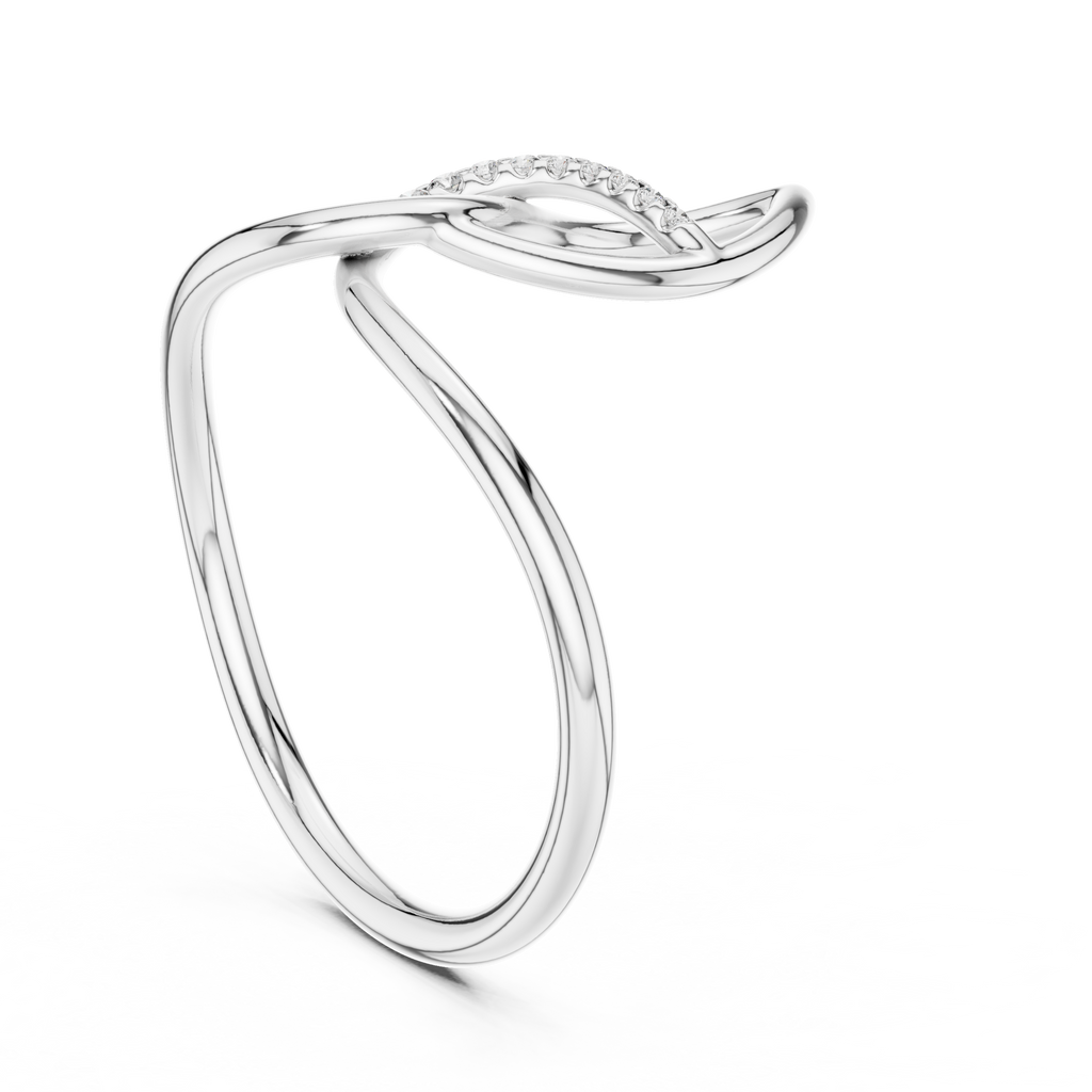 The Fancy Ring