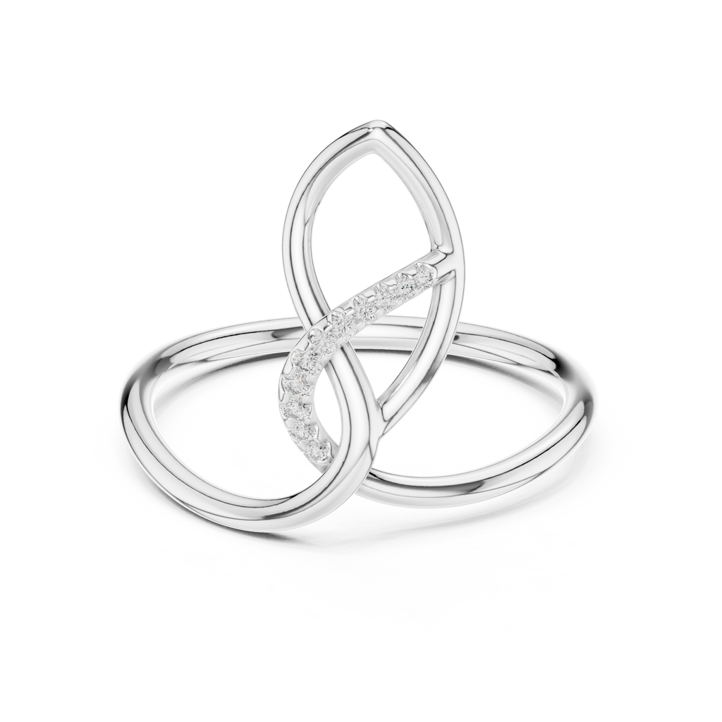 The Fancy Ring