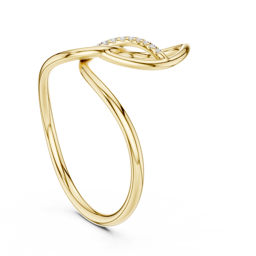 The Fancy Ring