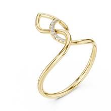 Load image into Gallery viewer, The Fancy Ring