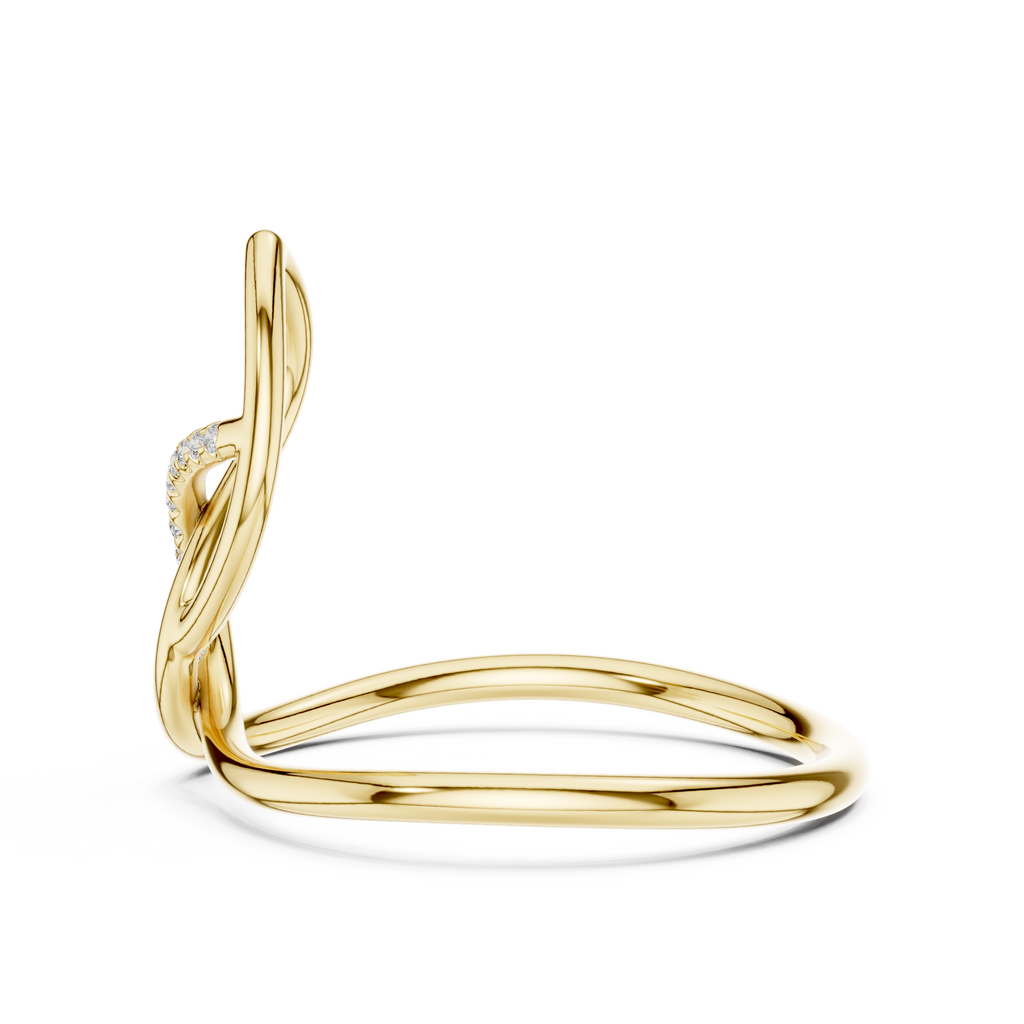 The Fancy Ring