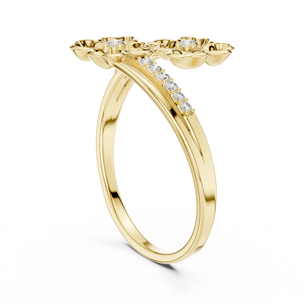 The Essential Ring