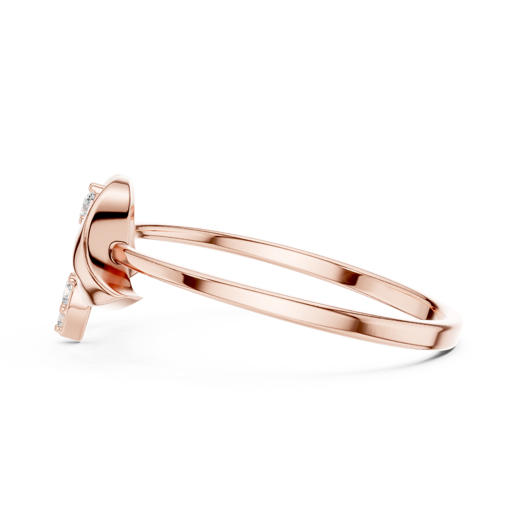 The Fancy Ring