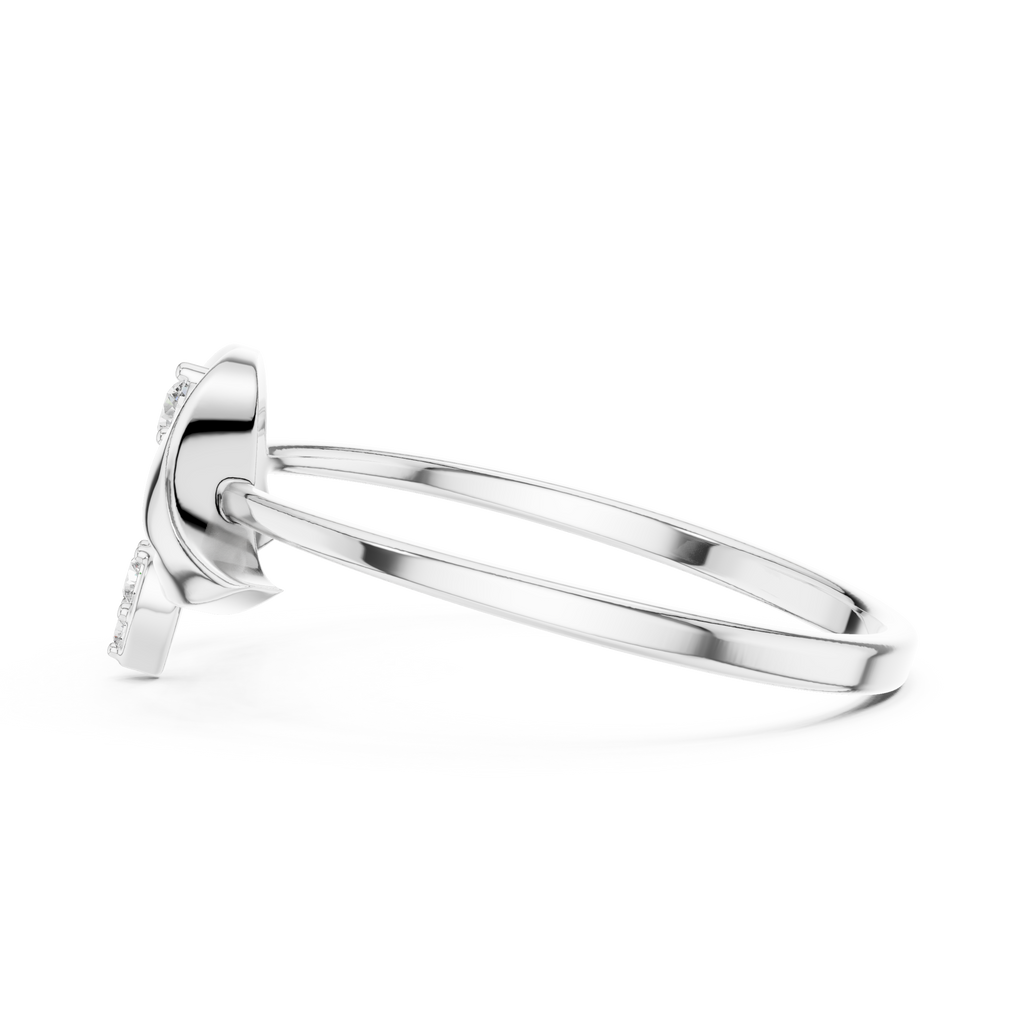 The Fancy Ring