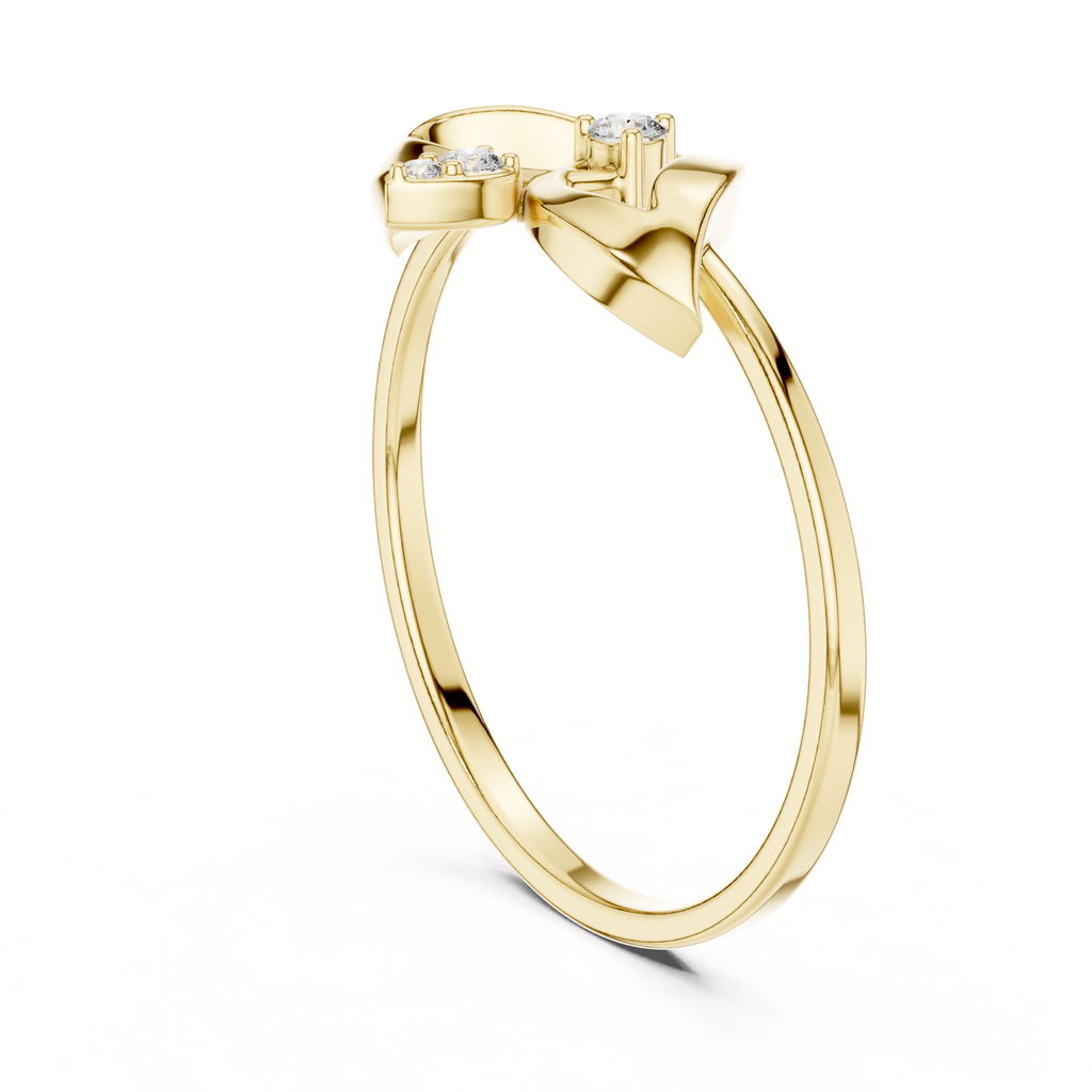 The Fancy Ring