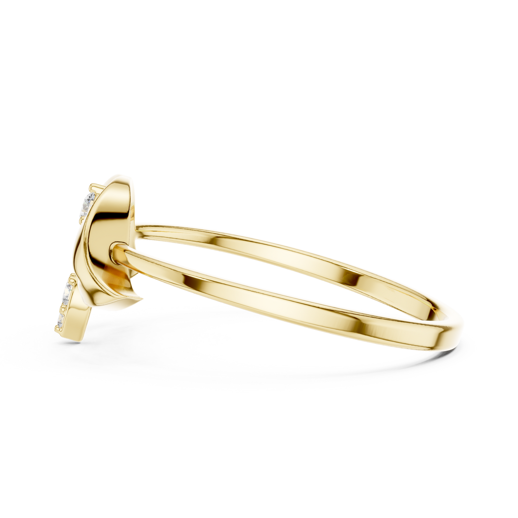 The Fancy Ring