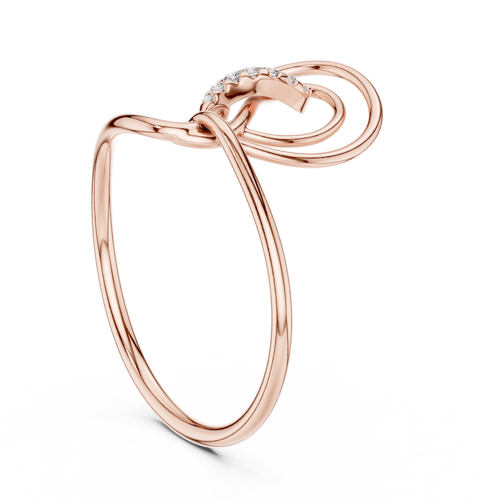 The Fancy Ring