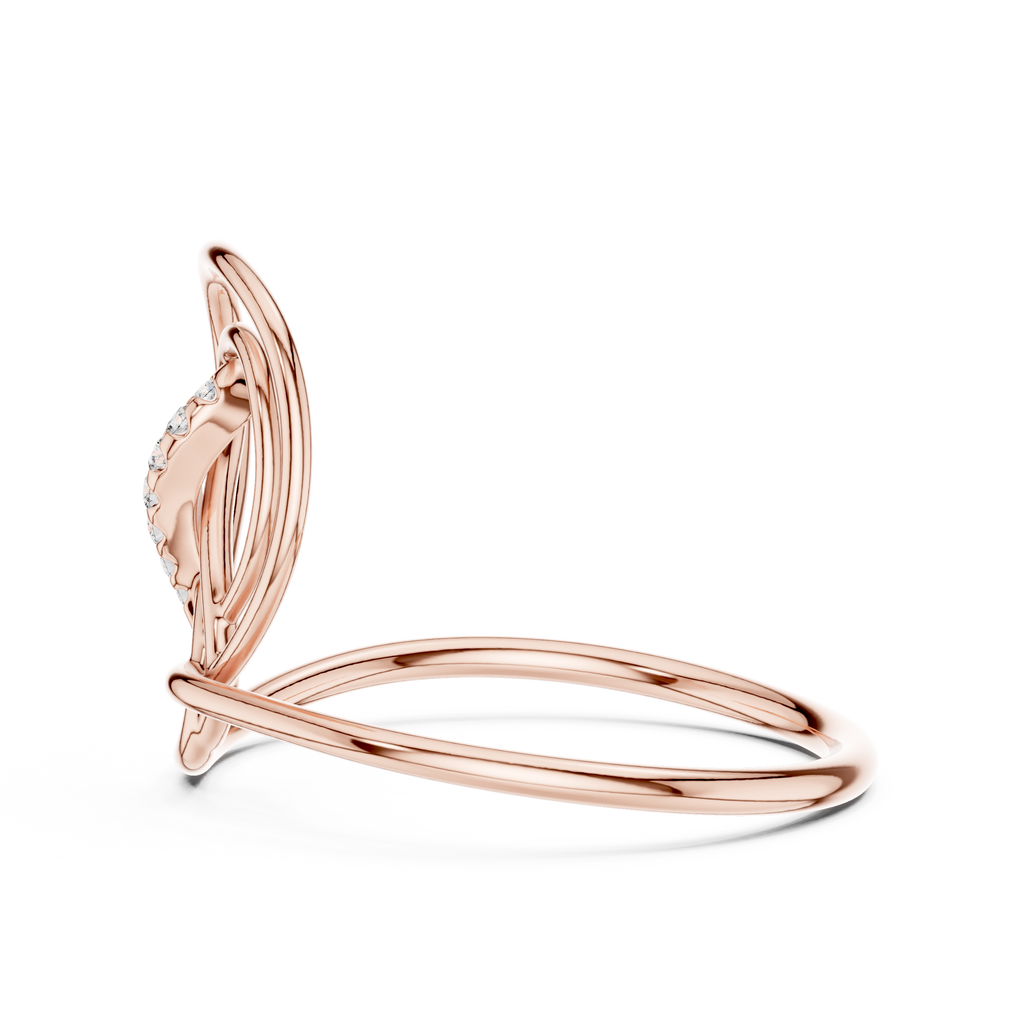 The Fancy Ring