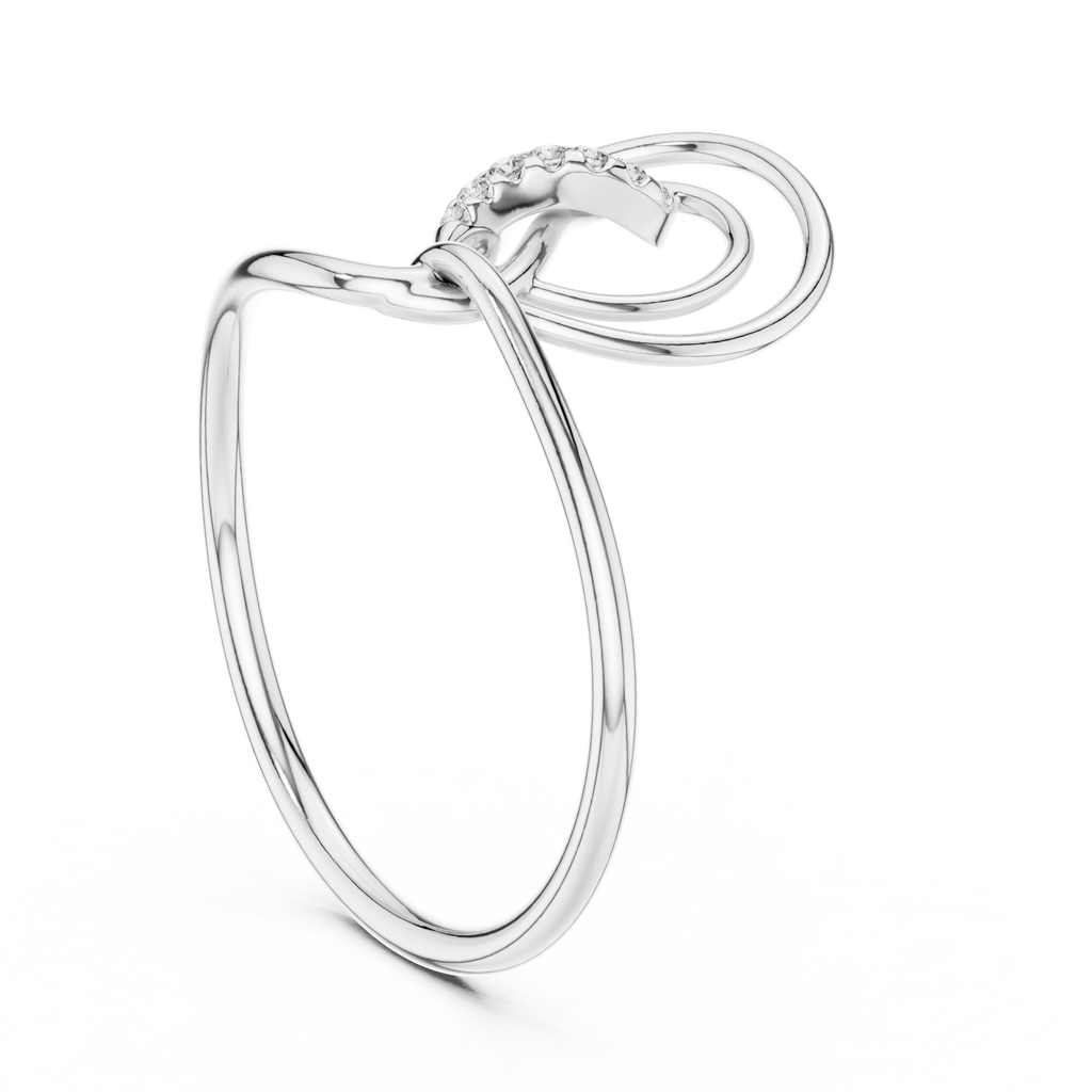 The Fancy Ring