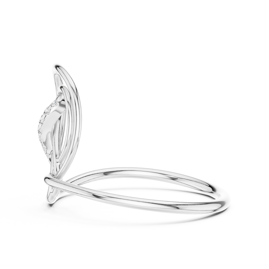 The Fancy Ring