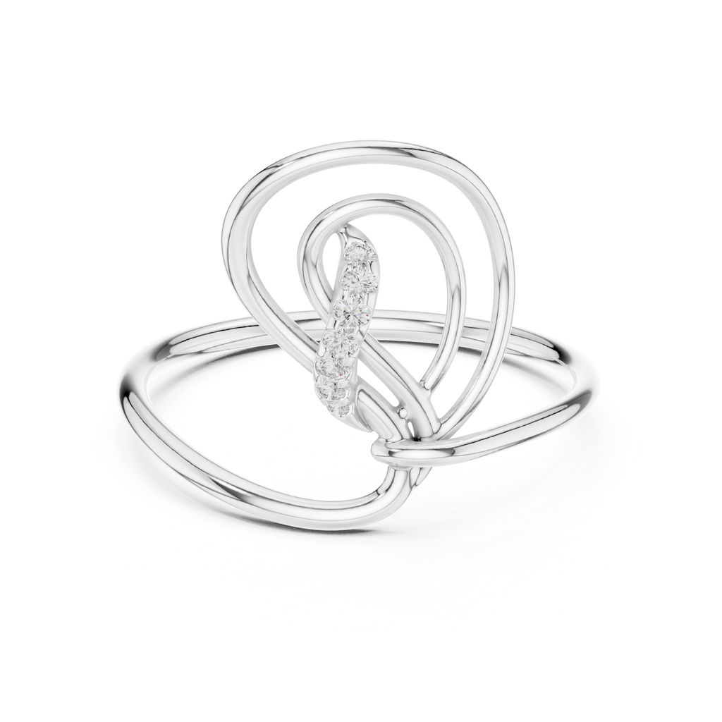 The Fancy Ring