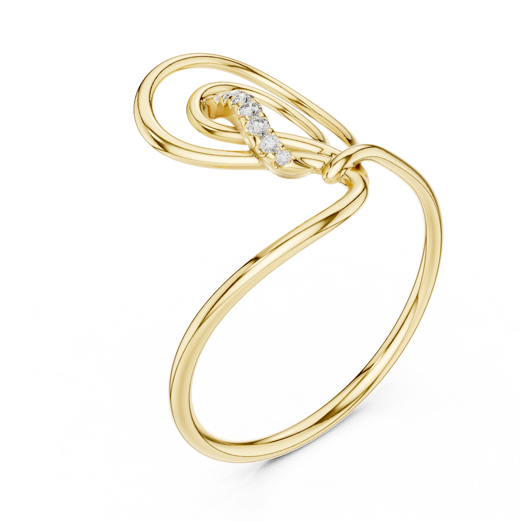 The Fancy Ring