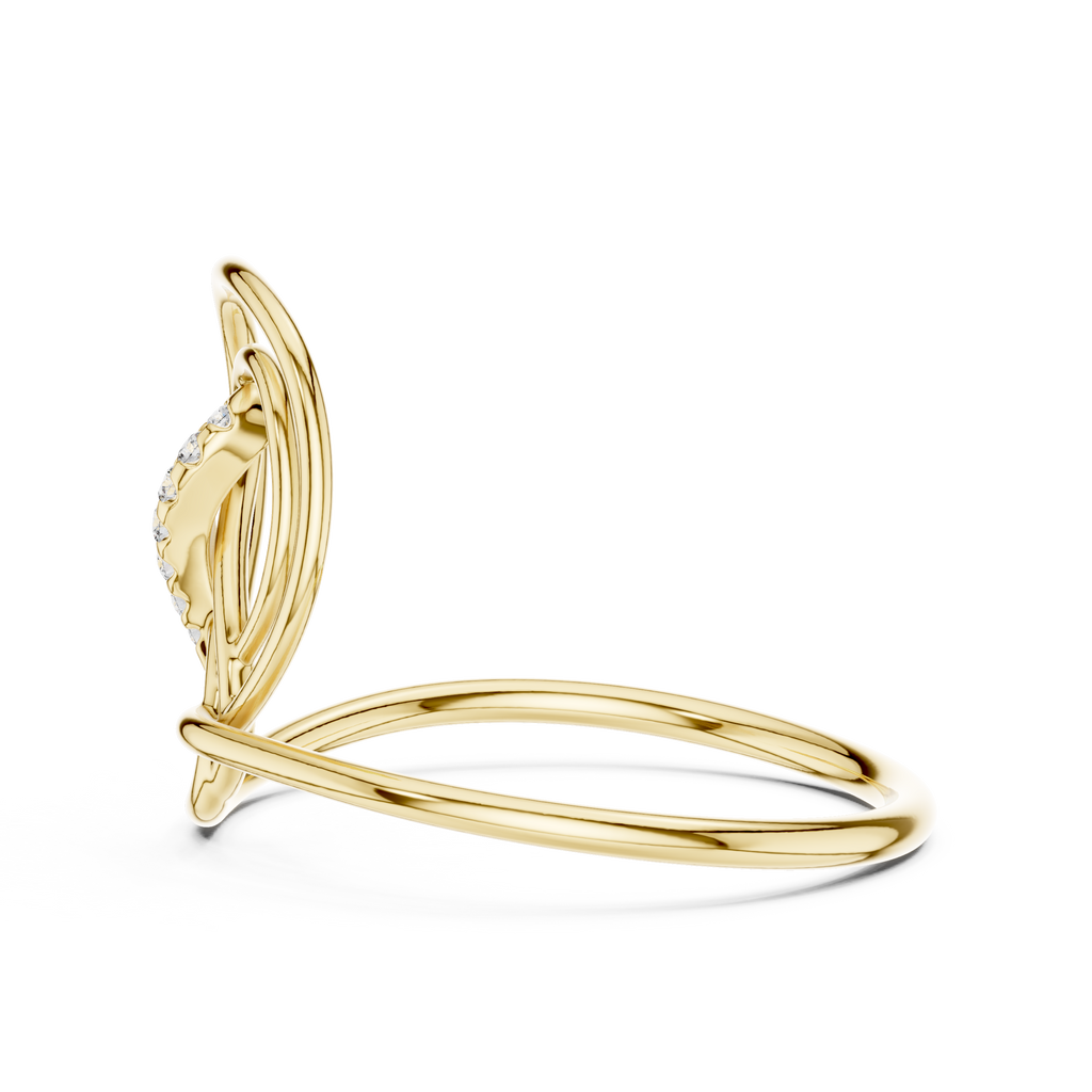 The Fancy Ring