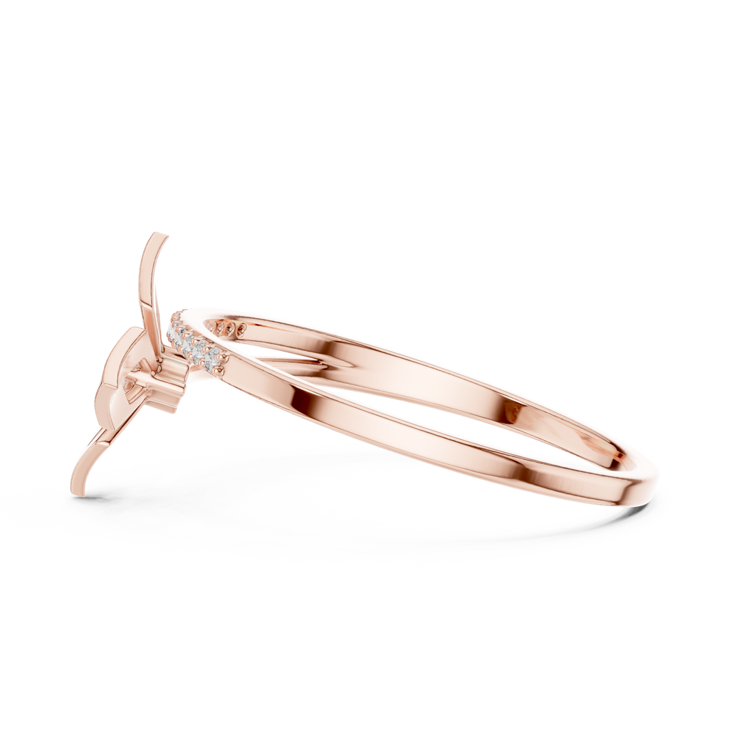The Fancy Ring
