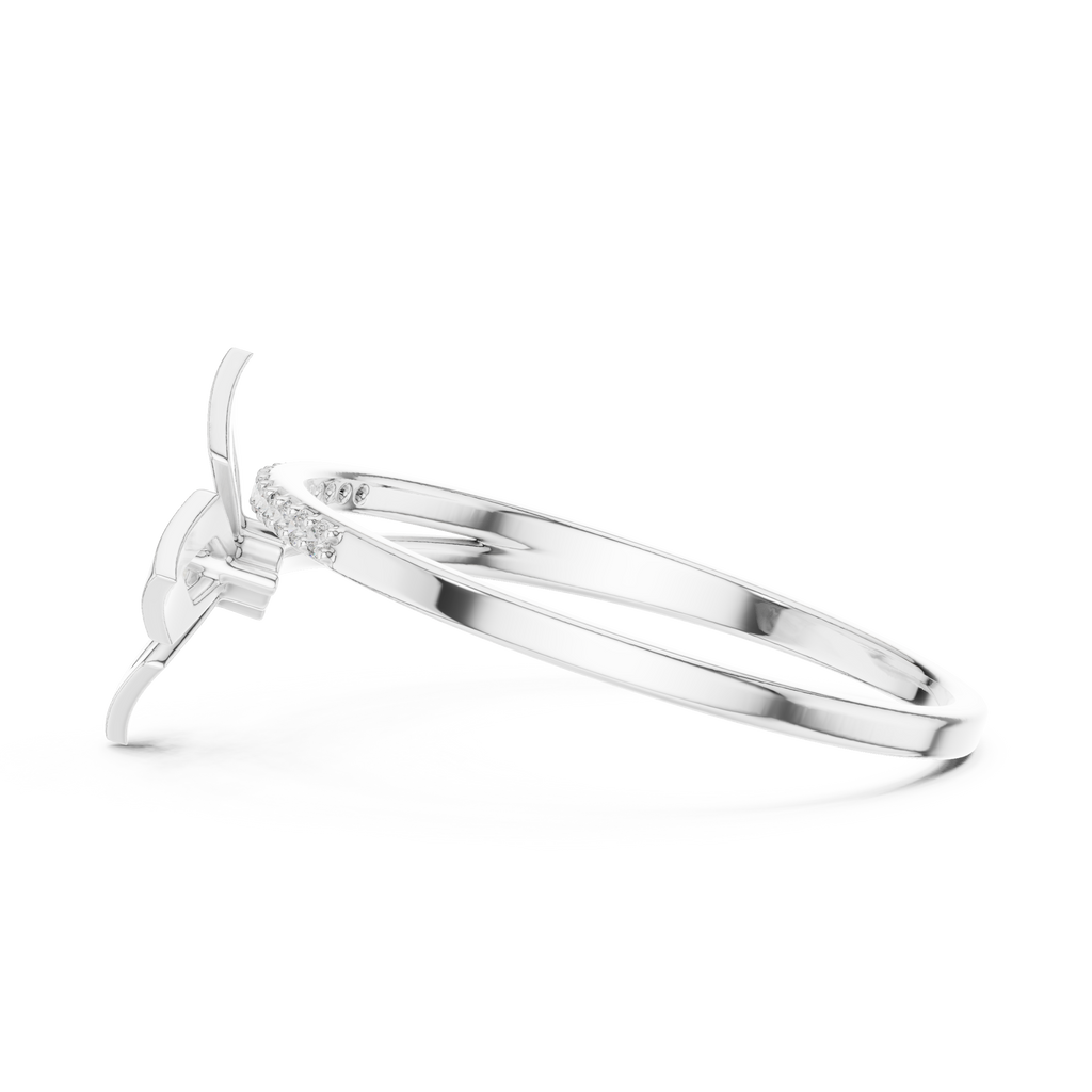 The Fancy Ring