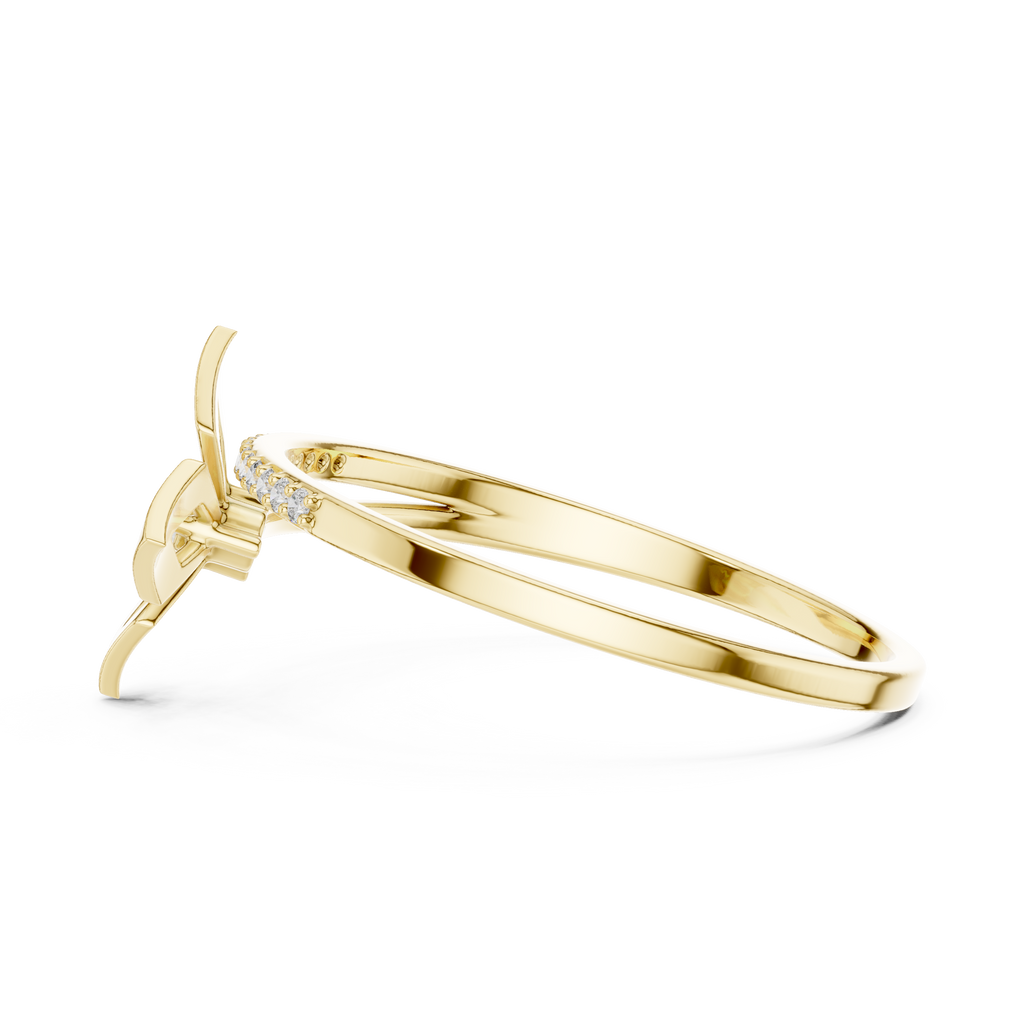 The Fancy Ring