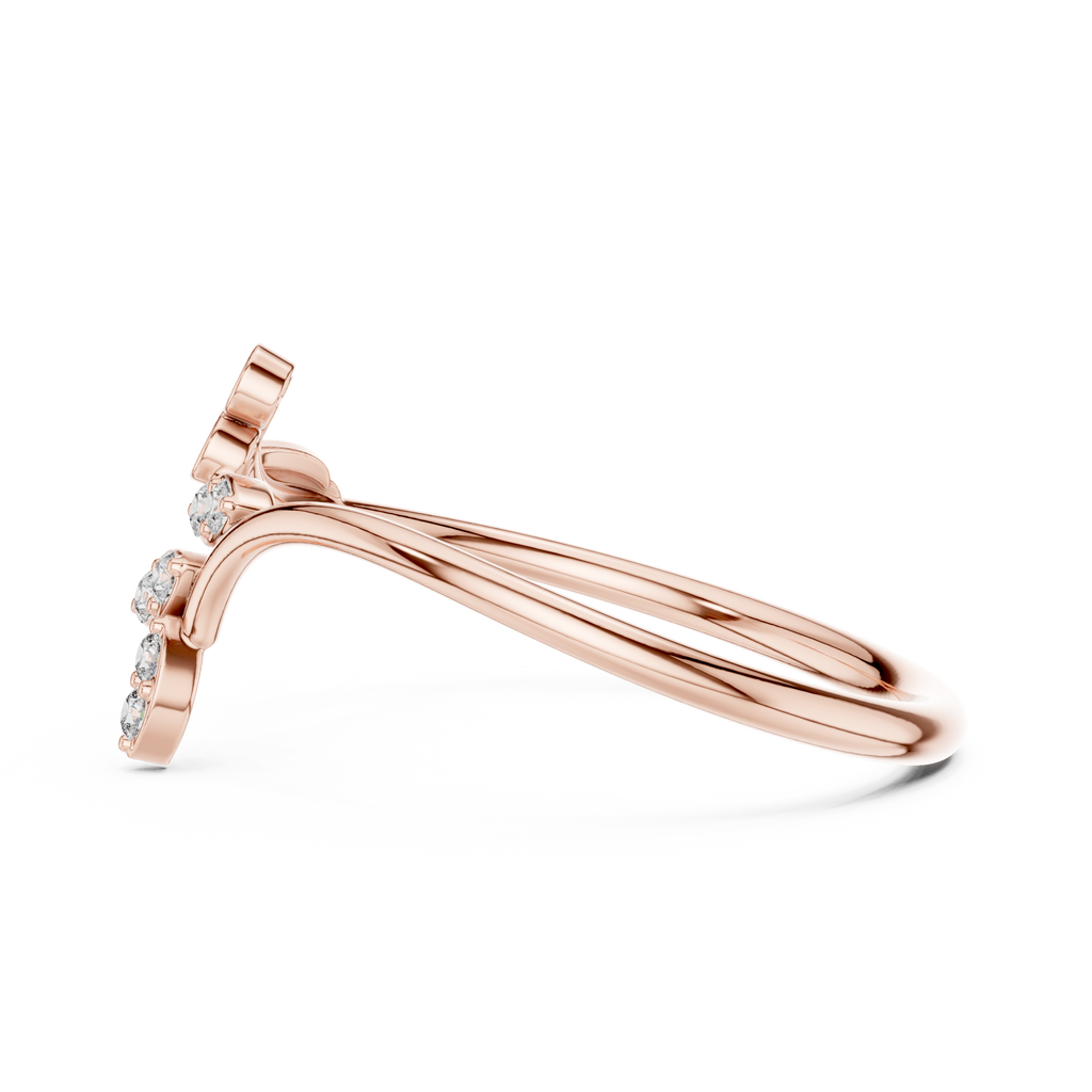The Fancy Ring