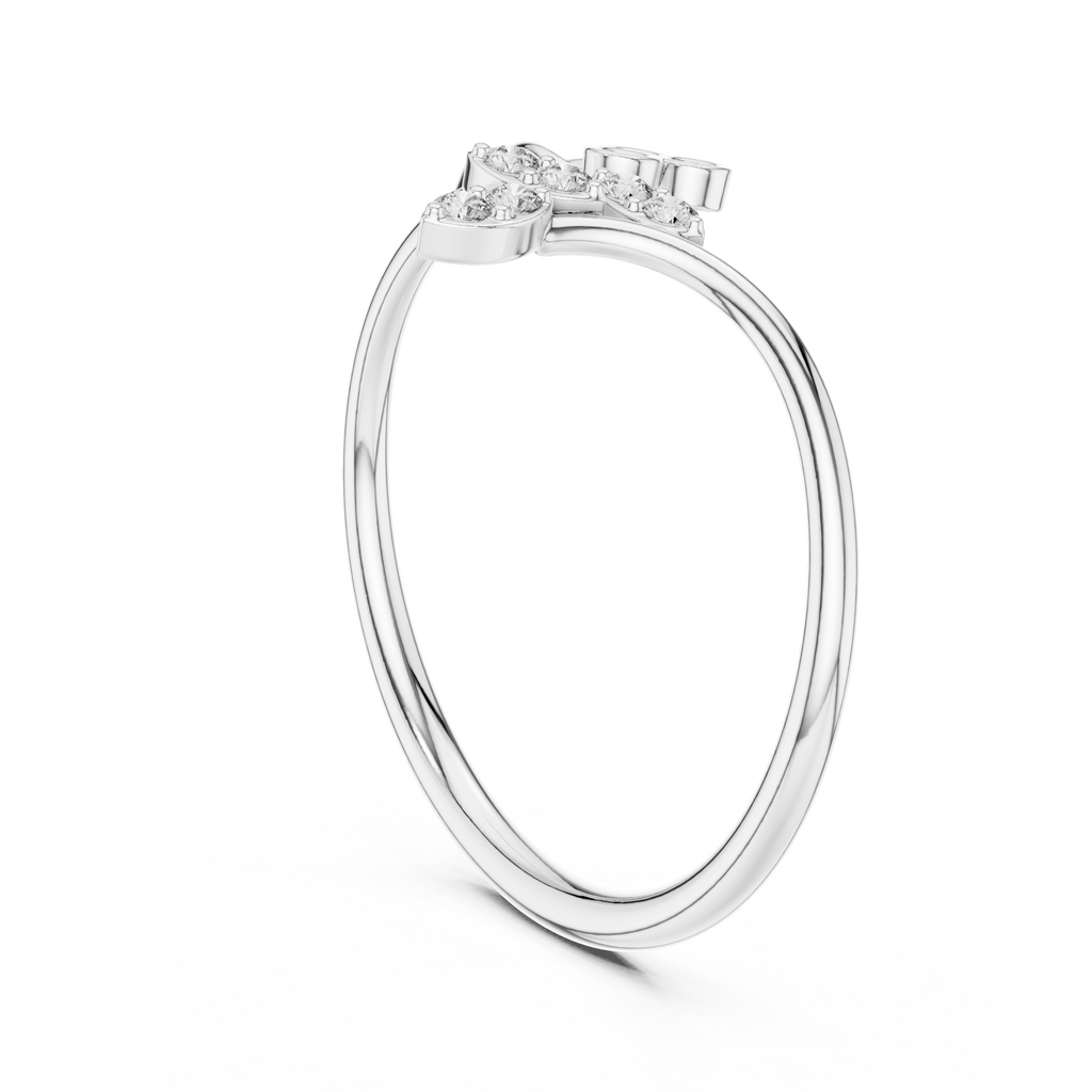 The Fancy Ring