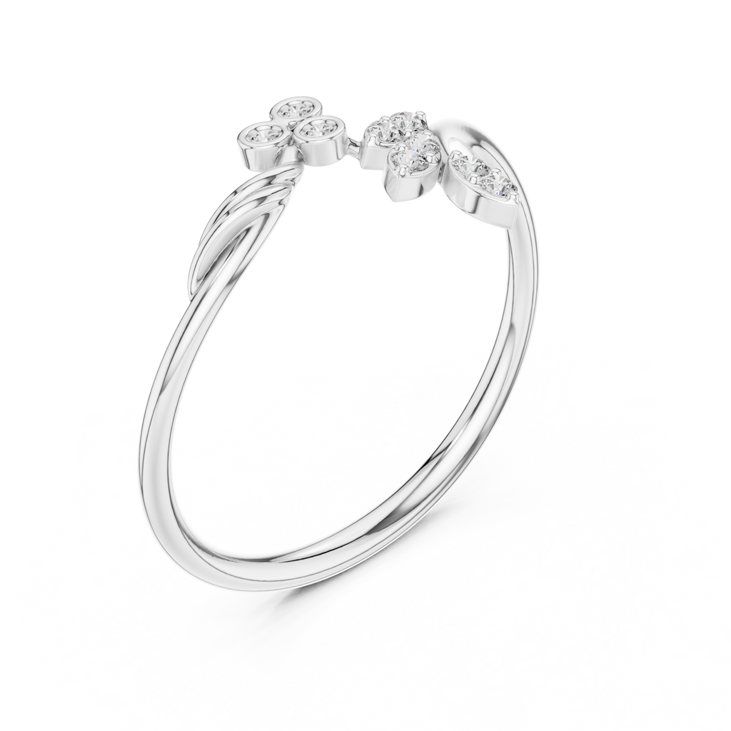 The Fancy Ring