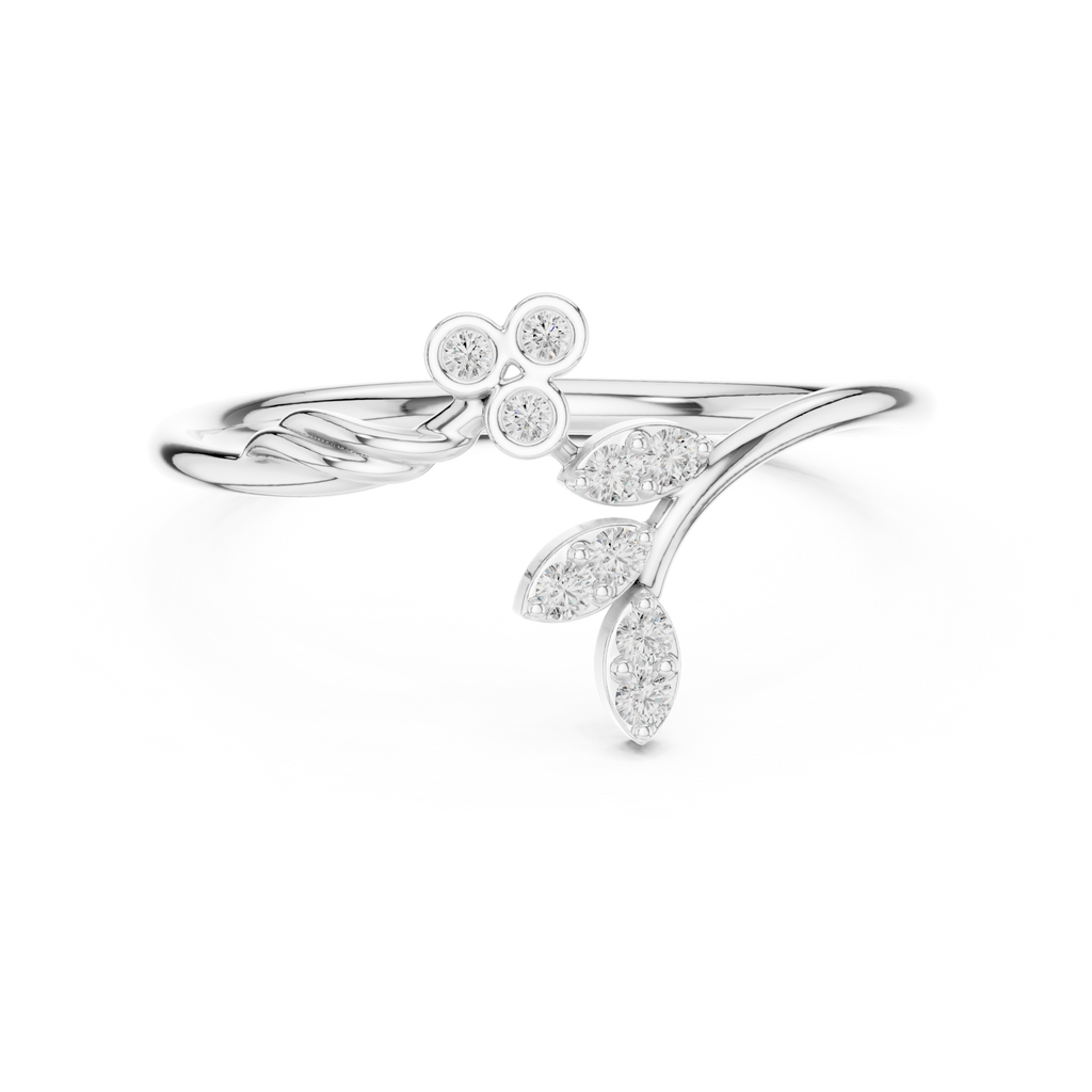 The Fancy Ring