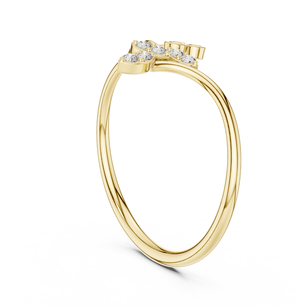 The Fancy Ring