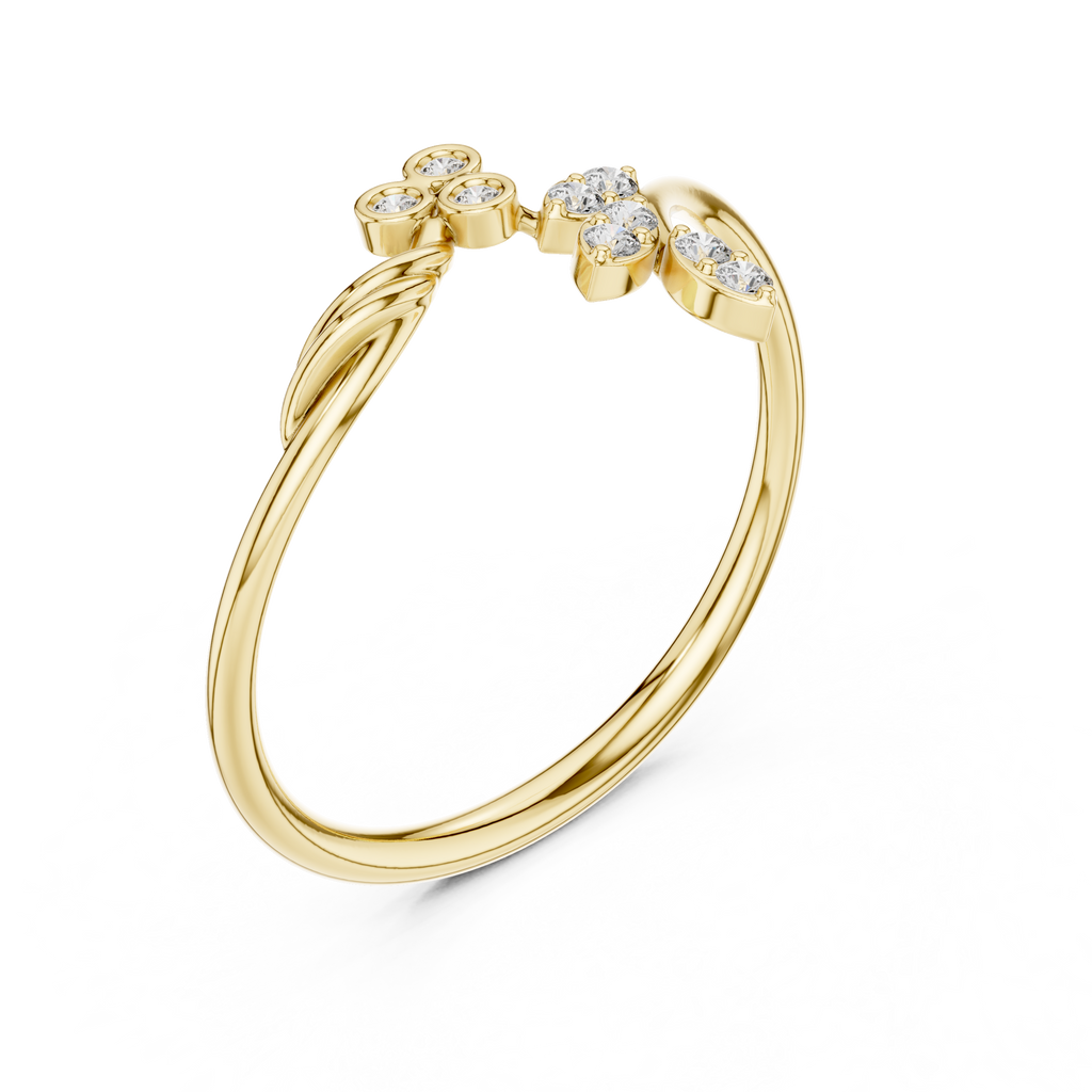 The Fancy Ring