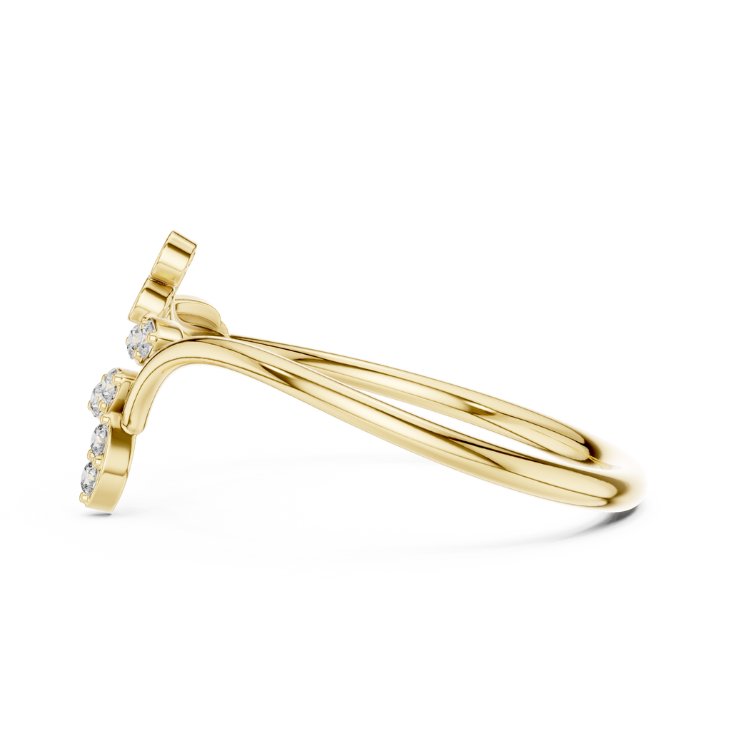 The Fancy Ring