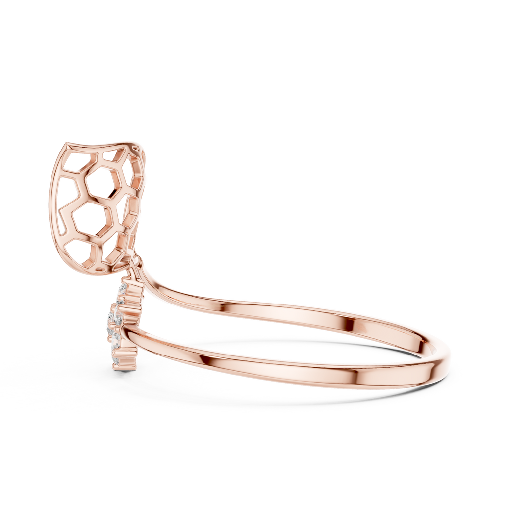 The Fancy Ring