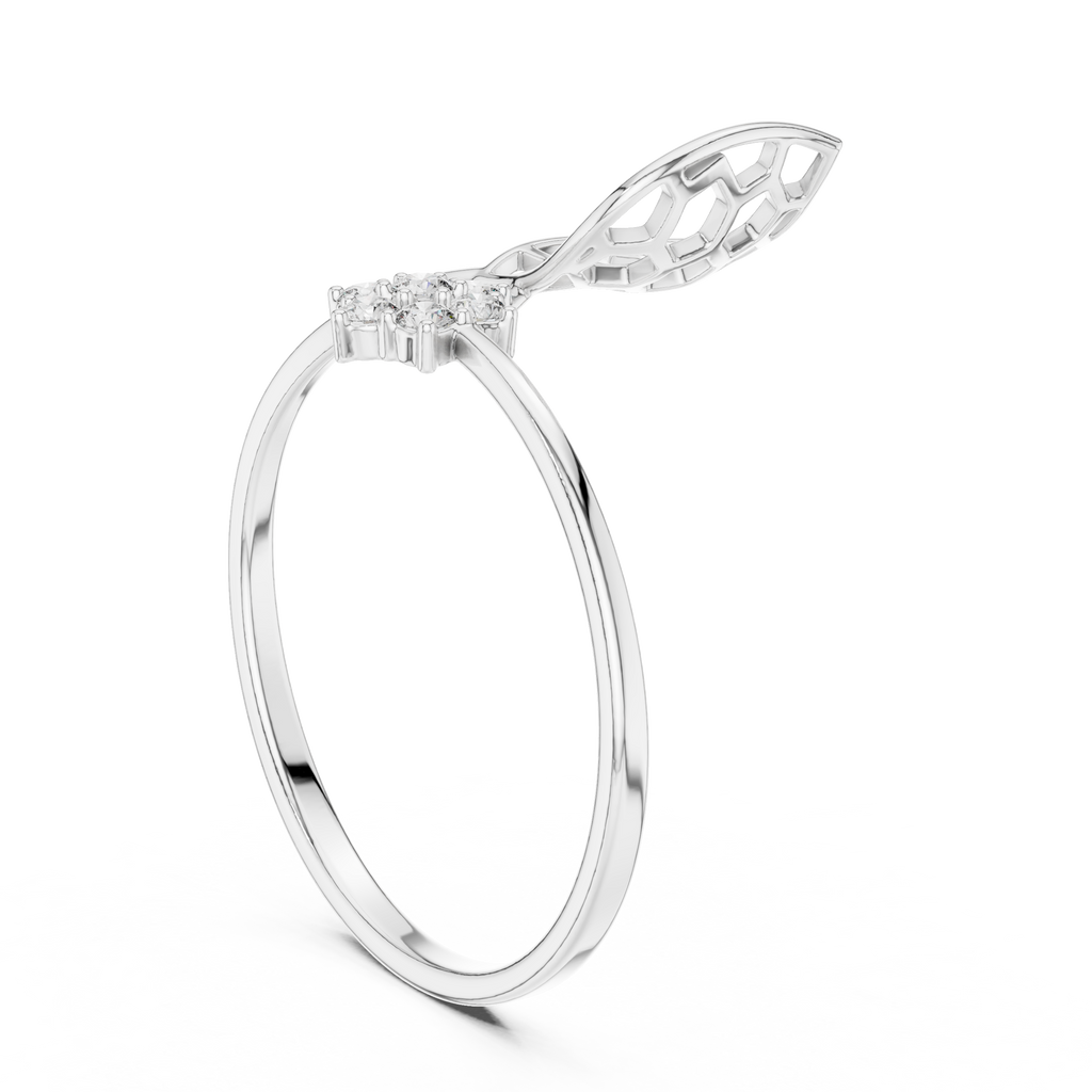 The Fancy Ring
