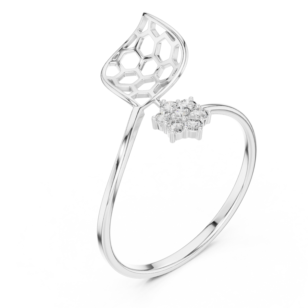 The Fancy Ring