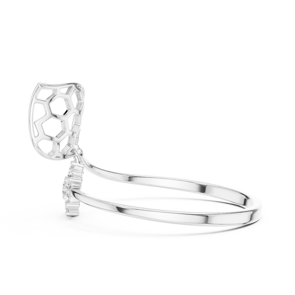 The Fancy Ring