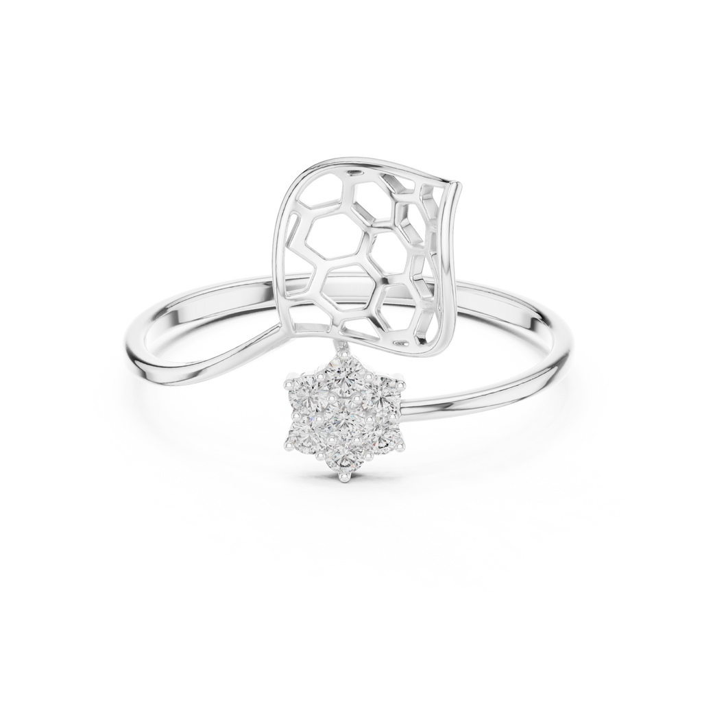 The Fancy Ring
