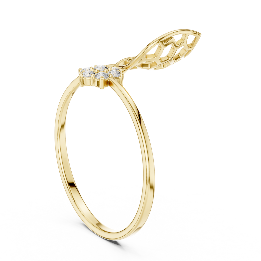 The Fancy Ring