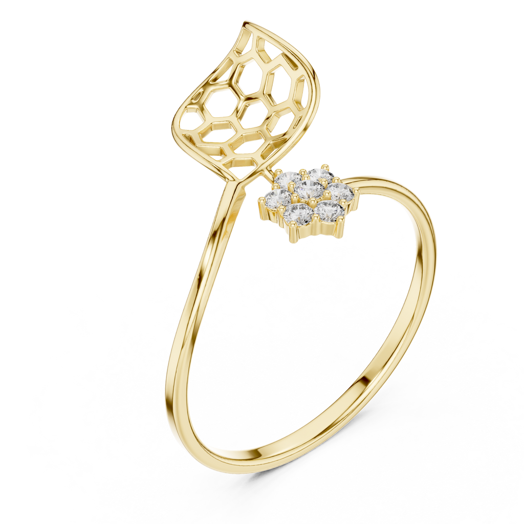 The Fancy Ring