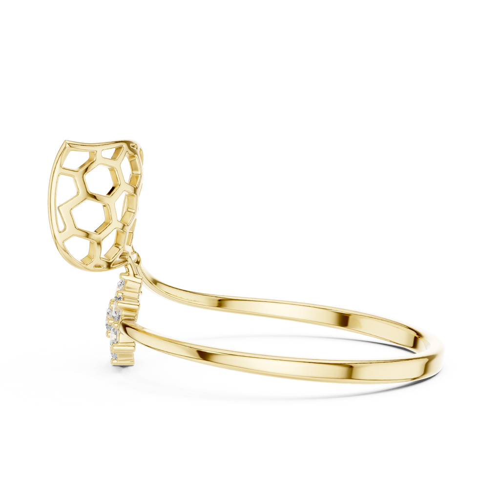 The Fancy Ring