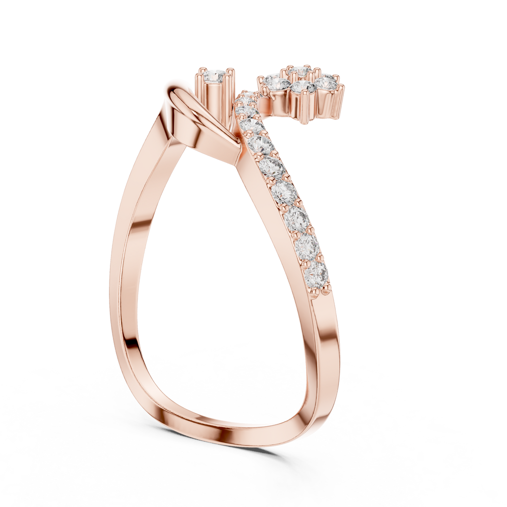 The Fancy Ring